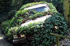 Des sites Internet intéressants pour les communes