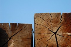 Des compacts pour tous