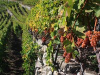 Sondrio fête avec la CIPRA