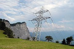 Des impôts verts pour une meilleure qualité de vie