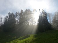 50 ans de parcs naturels en Autriche