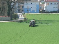 Bras de fer autour des pesticides