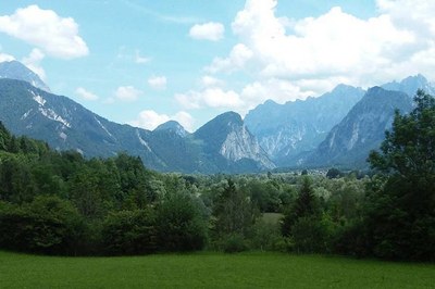 Comment la biodiversité disparaît