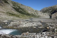 Des eaux vivantes, un atout pour la biodiversité