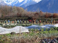 Du crowdfunding pour préserver des terres