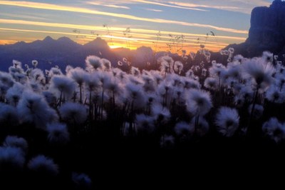 Gestion des flux touristiques dans les Alpes