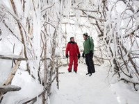 Des cônes de glace pour les glaciers