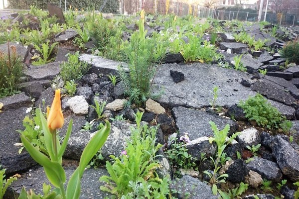 L’artificialisation des sols aggrave le problème de la chaleur