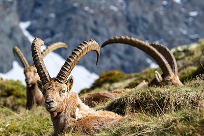 Le tourisme durable en pratique