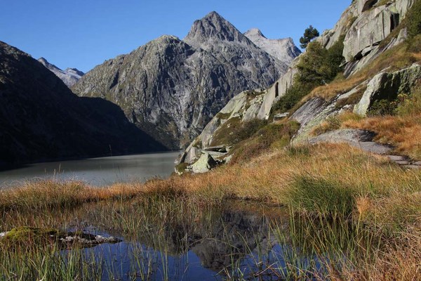 Une décision exemplaire pour la protection des sites marécageux