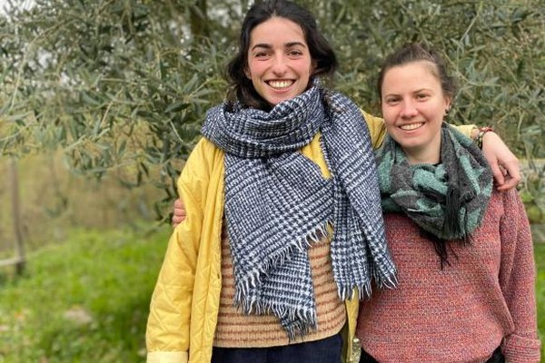 Volontariat rural : zoom sur l'initiative d'InSite