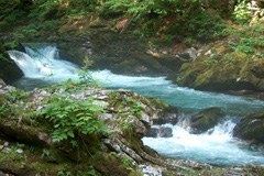 Protocole d'application de la Convention alpine dans le domaine de l'eau - une proposition de la Commission Internationale pour la Protection des Alpes CIPRA