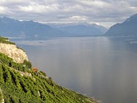 Résolution pour la mise en place d'une zone "Alpes" préservée de la dissémination d'organismes génétiquement modifiés