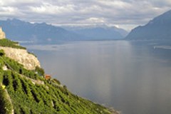 Résolution pour la mise en place d'une zone "Alpes" préservée de la dissémination d'organismes génétiquement modifiés