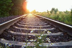 Résolution sur la nouvelle liaison ferroviaire de base Turin-Lyon pour le transport ferroviaire de marchandises entre la France et l'Italie