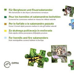 Pour les hermites et salamandres tachetées