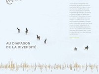 Au diapason de la diversité - CIPRA Rapport Annuel 2014