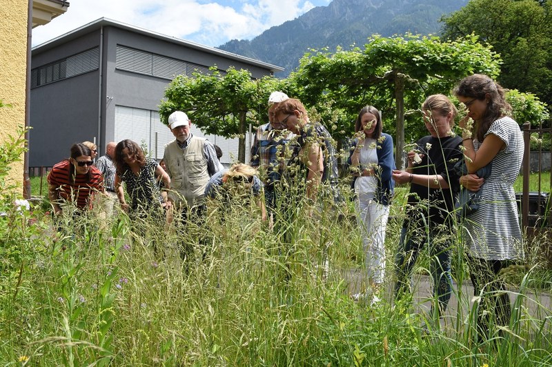 1. Garta Gspröch Garten (c) Caroline Begle(2).jpg