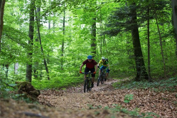 Mountain biking con accortezza