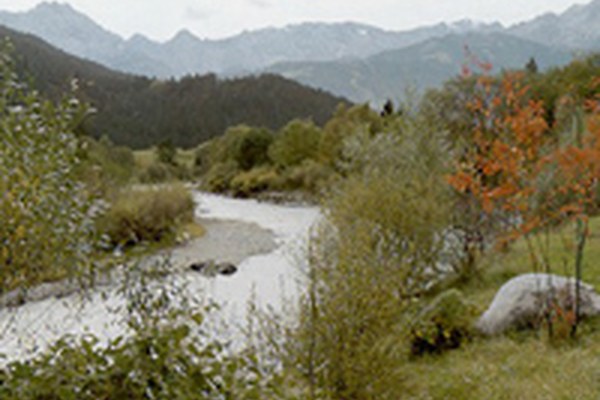 Avvertimento contro un eccessivo sviluppo dell'idroelettrico