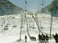 Piste da sci: una minaccia per gli uccelli