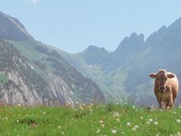 Politica turistica osservata speciale: i fondi vengono impiegati in modo sostenibile?