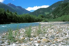 Lacune in Austria nella protezione della natura