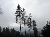 Tempo e clima nelle Alpi