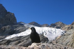 Settimana alpina 2008 - Innovare [nel]le Alpi