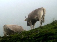 AgriMontana e AlpFUTUR