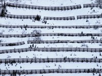 Valutazione economica dei provvedimenti di protezione dai pericoli naturali