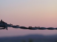 Un nome nuovo per una rivista consolidata