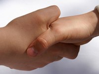 Alpe Adria preme sull'acceleratore per le energie alternative attraverso le frontiere