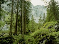 Ricerca per il Clima