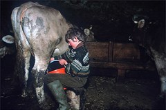 Risoluzione per un'agricoltura di montagna attiva