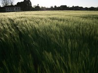 On-line il portale sul clima della Convenzione delle Alpi