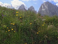 È iniziato l'Anno internazionale della Biodiversità