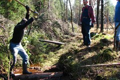 lavoro di ­braccia per salvare le torbiere