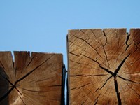 I Compact per tutti!