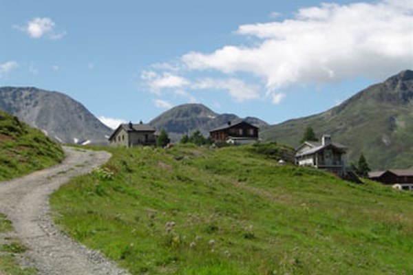 Cooperazione italo - svizzera per migliorare la connettività ecologica