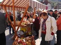 Relazione annuale 2011: "noi andiamo avanti"