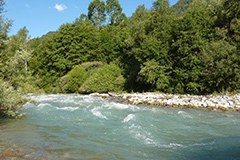 Rio Ram: idroelettrico o biosfera?