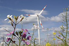 Al via il progetto recharge.green: coniugare produzione di energia e tutela della natura