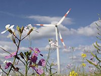 Al via il progetto recharge.green: coniugare produzione di energia e tutela della natura