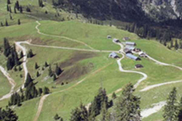 Promozione dell'economia d'alpeggio