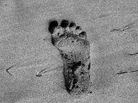 Cosa vogliono le Alpi dall’Europa