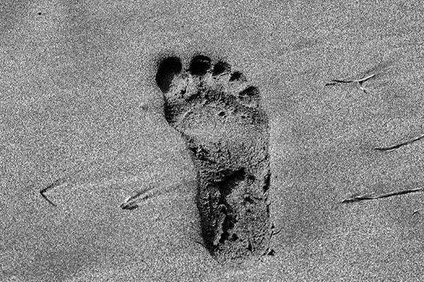 Cosa vogliono le Alpi dall’Europa