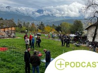 Insieme per la protezione delle greggi