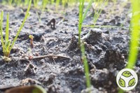 Limitare il consumo di superfici, salvare il suolo