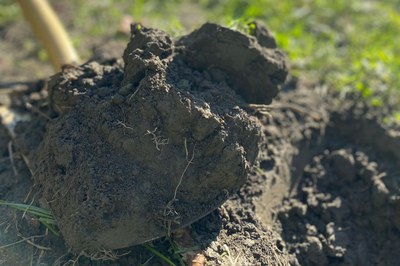 L’UE punta a suoli sani entro il 2050